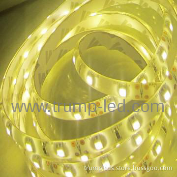 swimming pool led strip light